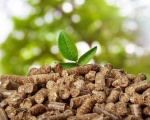 Nhiên liệu sinh khối, biomass là gì?