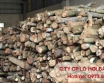 Giá củi đốt tăng hay giảm? những yếu tố ảnh hưởng trực tiếp