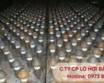 Tìm Hiểu Ghi Lò Hơi Công Nghiệp: Bí Quyết Tối Ưu Hiệu Suất Vận Hành