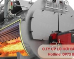 Giá Lò Hơi Đốt Dầu Bao Nhiêu? Các Yếu Tố Quyết Định Giá Thành
