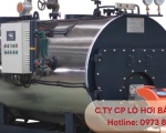 5 Lưu Ý Quan Trọng Khi Lựa Chọn Lò Hơi Đốt Dầu Cho Nhà Máy
