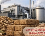 Nhiên liệu đốt lò hơi: Giải pháp tiết kiệm & hiệu quả cho doanh nghiệp